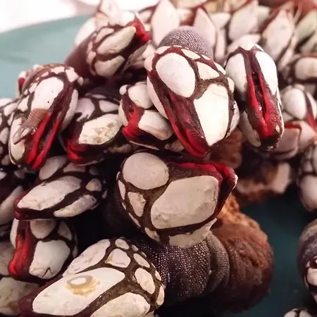 Juanita ホテル オ・グローベ